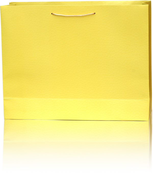 Yellow Paper Gift Bag with Rope Handle