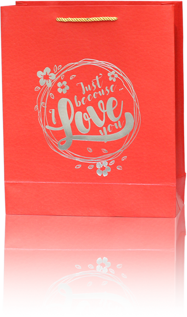 "Red 'Just Because I Love You' Gift Bag"