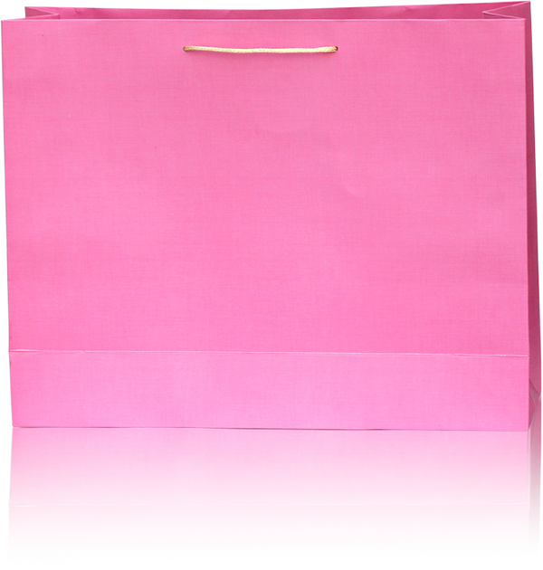 Pink Paper Gift Bag with Rope Handle