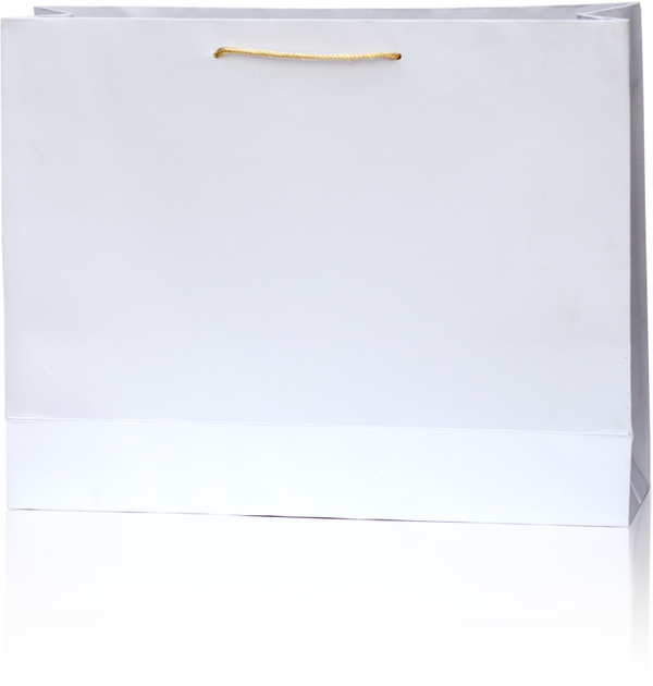 Classic White Paper Gift Bag with Rope Handle