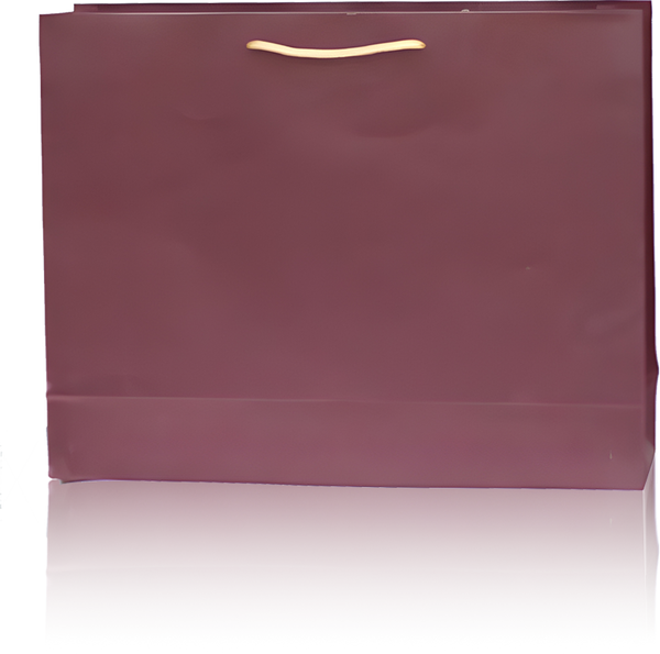 Elegant Burgundy Paper Gift Bag with Rope Handle