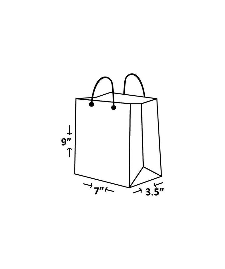 Shiny Bag - Plain Shiny Red Blue Bag With Handle - Laminated Paper Bag - BoxGhar